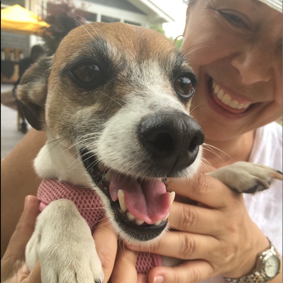 Hi, I’m Tammy! Welcome to my closet! - Picture 3 of 7